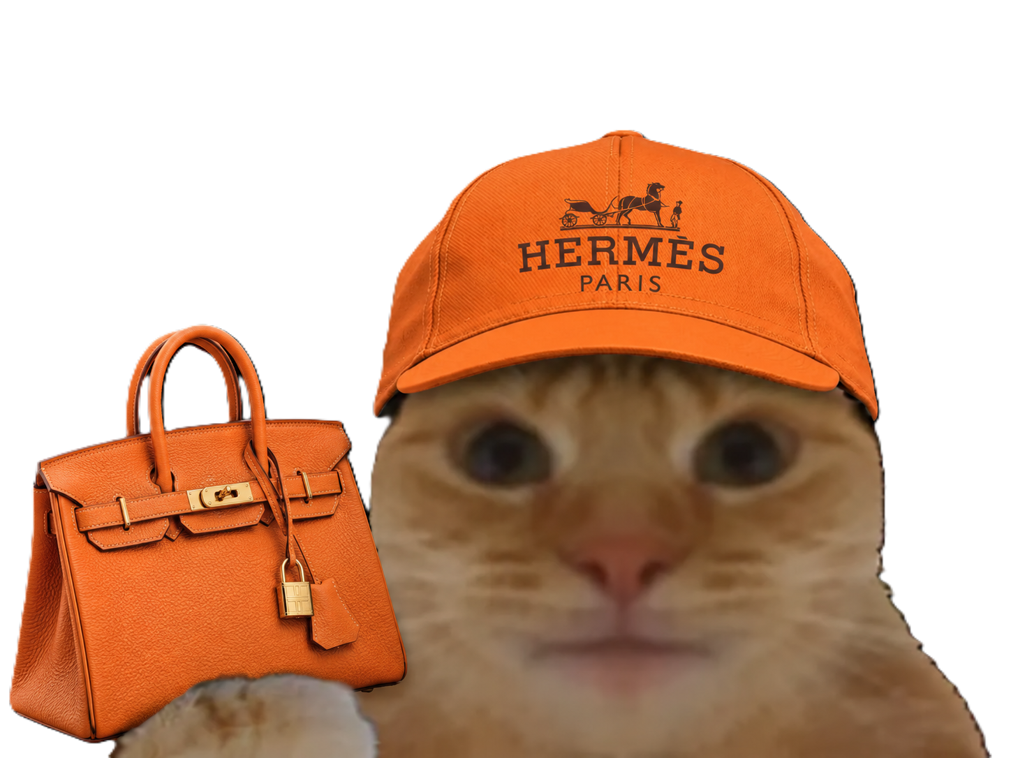 Sticker chat casquette bourse glace fiston laverited hermes birkin croute coutequecoute punaise cuir france orange par Percevalois