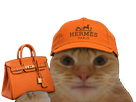 chat casquette bourse glace fiston laverited hermes birkin croute coutequecoute punaise cuir france orange
