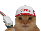 chat casquette bourse datacenter laser laverited fiston npo cpo networking lumiere ciena scale up scale across