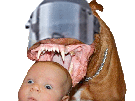 crs police chien chienchien jouer yveutjouer enfant manifestant doggo policier flic