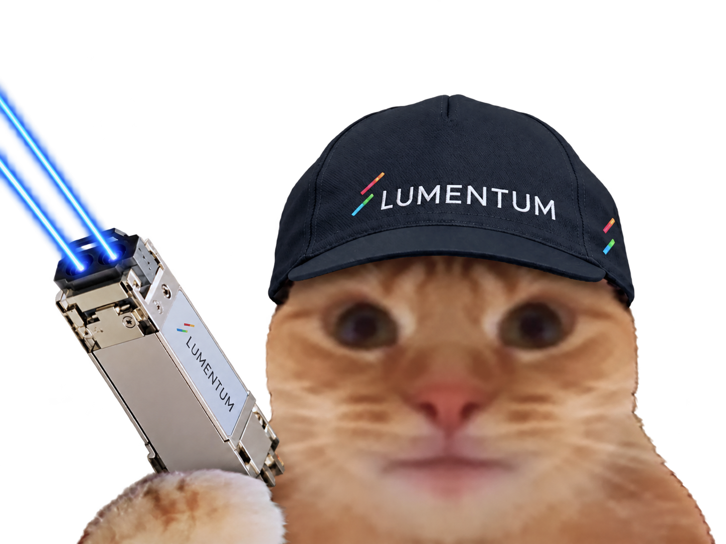 Sticker chat casquette bourse datacenter laser laverited fiston npo cpo networking lumiere lite lumentum noir noire par Percevalois