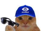 chat casquette bourse glace fiston macdonalds laverited odess essilor lunettes opticien