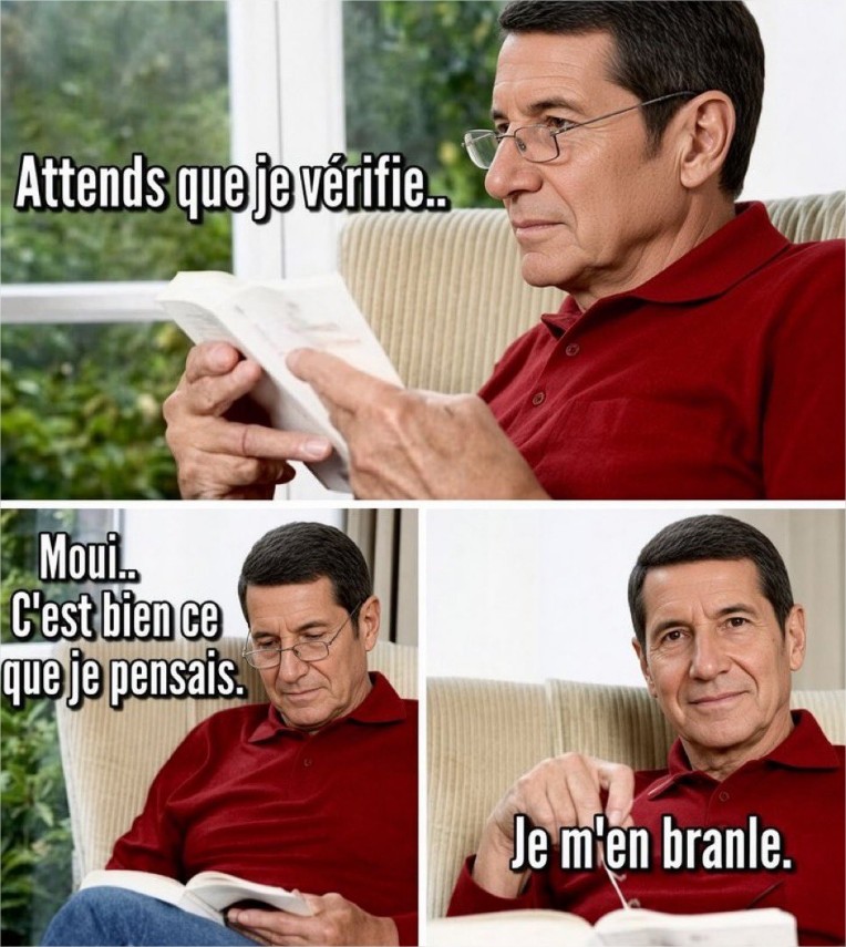 Sticker lisnard david lola fleur lfi par Jean_lessale