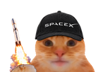 chat space x spacex musk fusee fiston laverited bourse datacenter espace compute elon