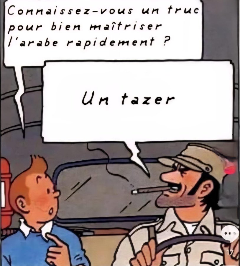 Image tintin tazer arabe qlf chance maitrise par Chatsuffit