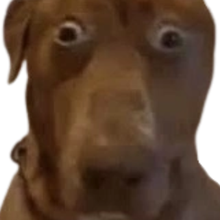 Sticker teddilluminati teddi chien dog doggo zoom par OEO