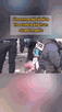 acab ripou 17 crs gend riot 135 keuf pig chicken pn gpx bridou salami fdo