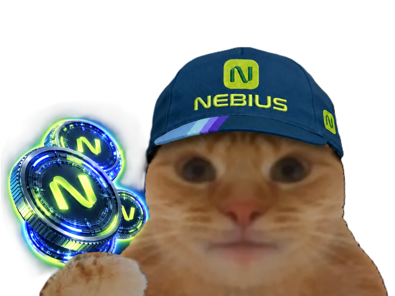 Sticker chat casquette bourse datacenter fiston laverited nebius compute token tokens ai ia par Percevalois