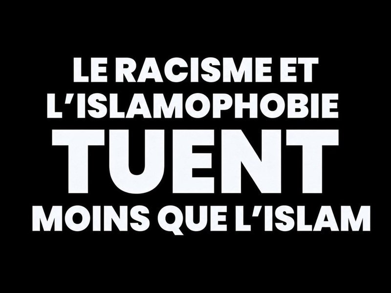 Image racisme islamophobie islam religion paix pet attentat attaque vivreensemble terrorisme terroriste par ProlapsusDeBHL