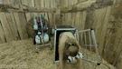 hucows milka amat farm fetish gala raro busty breast tit disturb warn deviant foin paille