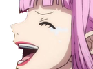 perona one piece cheveux rose yeux noir frange atropos fic bloop