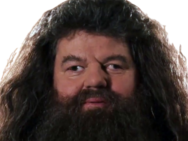 Sticker rubeus hagrid fic poudlard gryffondor professeur garde chasse harry potter hp film robbie coltrane par Moupe258