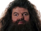 rubeus hagrid fic poudlard gryffondor professeur garde chasse harry potter hp film robbie coltrane