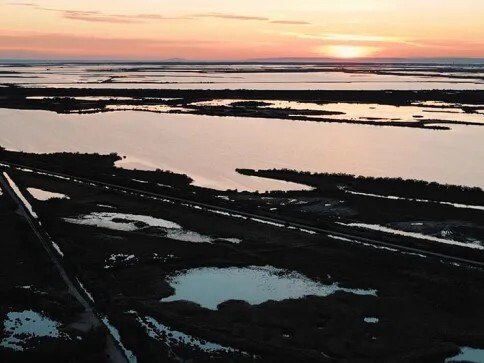 Image camargue paysage mer terre beau eau coucher de soleil oiseaux par PubliusOvidius