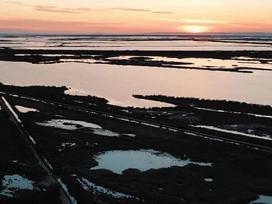 camargue paysage mer terre beau eau coucher de soleil oiseaux