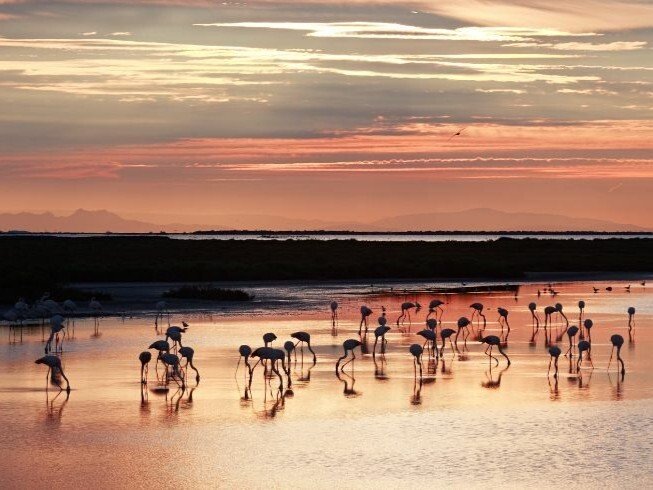 Image camargue paysage mer terre beau eau coucher de soleil oiseaux par PubliusOvidius