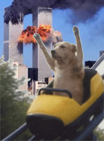 dog chien doge montagne russe wtf world trace center dark roller coaster attraction manege