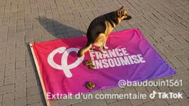 france insoumise lfi politique berger allemand chien caca merde