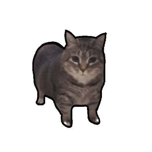 Sticker cat chat rotatif tourbillon mignon spin gif par jobecif