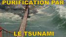 tsunami-risitas-purification-atome
