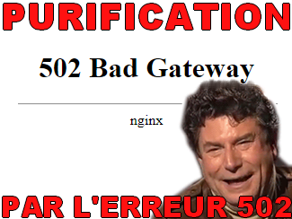 par lerreur risitas purification 502