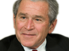politic usa bush risitas