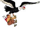 fdp-vautour-bd-quintero-francaise-tintin-jesus-christavalier-levant-tenant-chien-condor-issou-oiseau-milou-bras-les