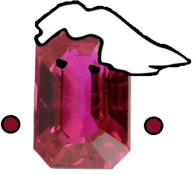 rubis rang master rank avenoel course maitre