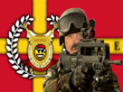 avenoel-risitas-v2-drapeau-militaire