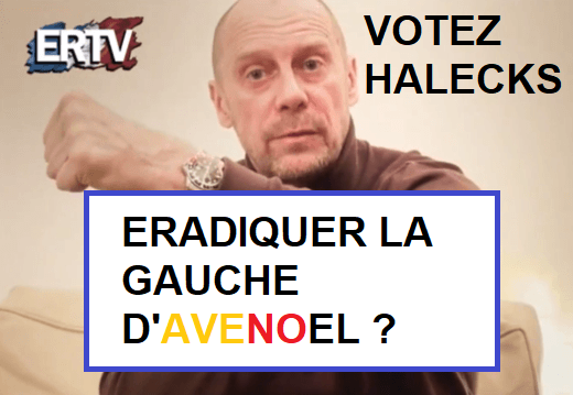 avenoel elections avn