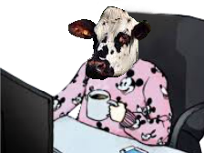 cafe vache risitas ecran