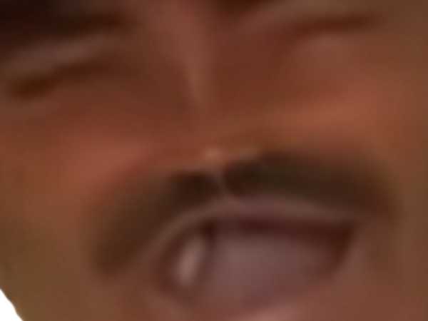 deform zoom risitas