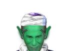 les-dragon-piccolo-ball-terriens-dbz-other-ardisson-reptiliens