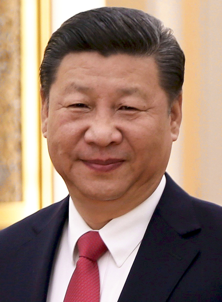 picture jinping official xi chine politic