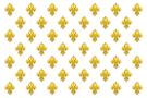 banniere-monarchie-drapeau-fannion-or-blanc-roi-france-fleur-lys-politic-de