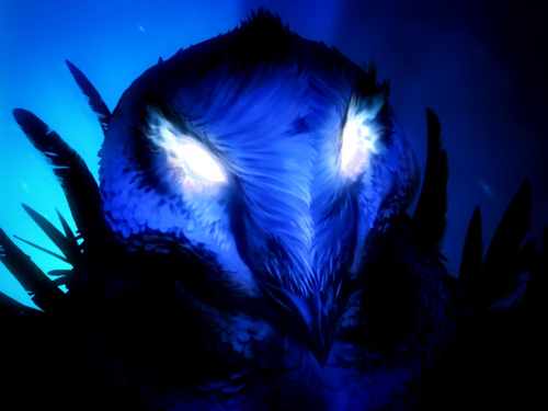 blind chouette kuro forest ori