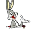 other-bugs-hey-bunny