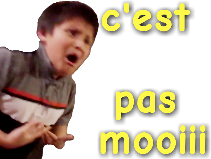 cestpasmoi porno flag twitter risitas