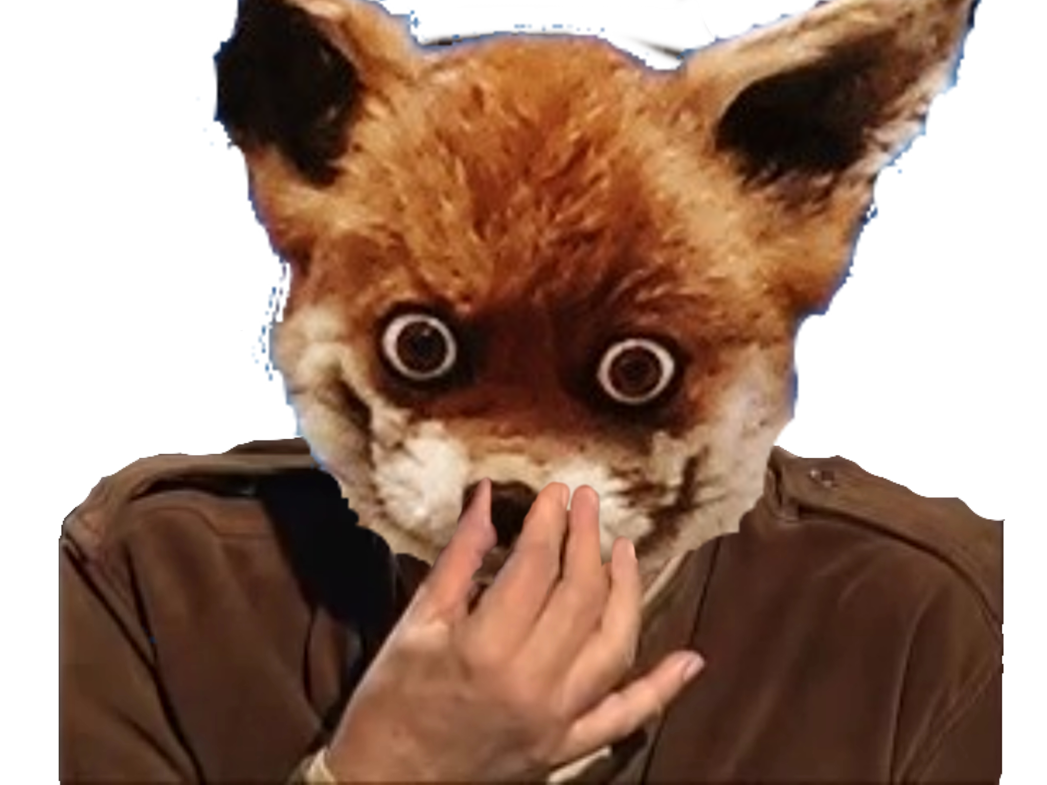 renard nez jesus risitas