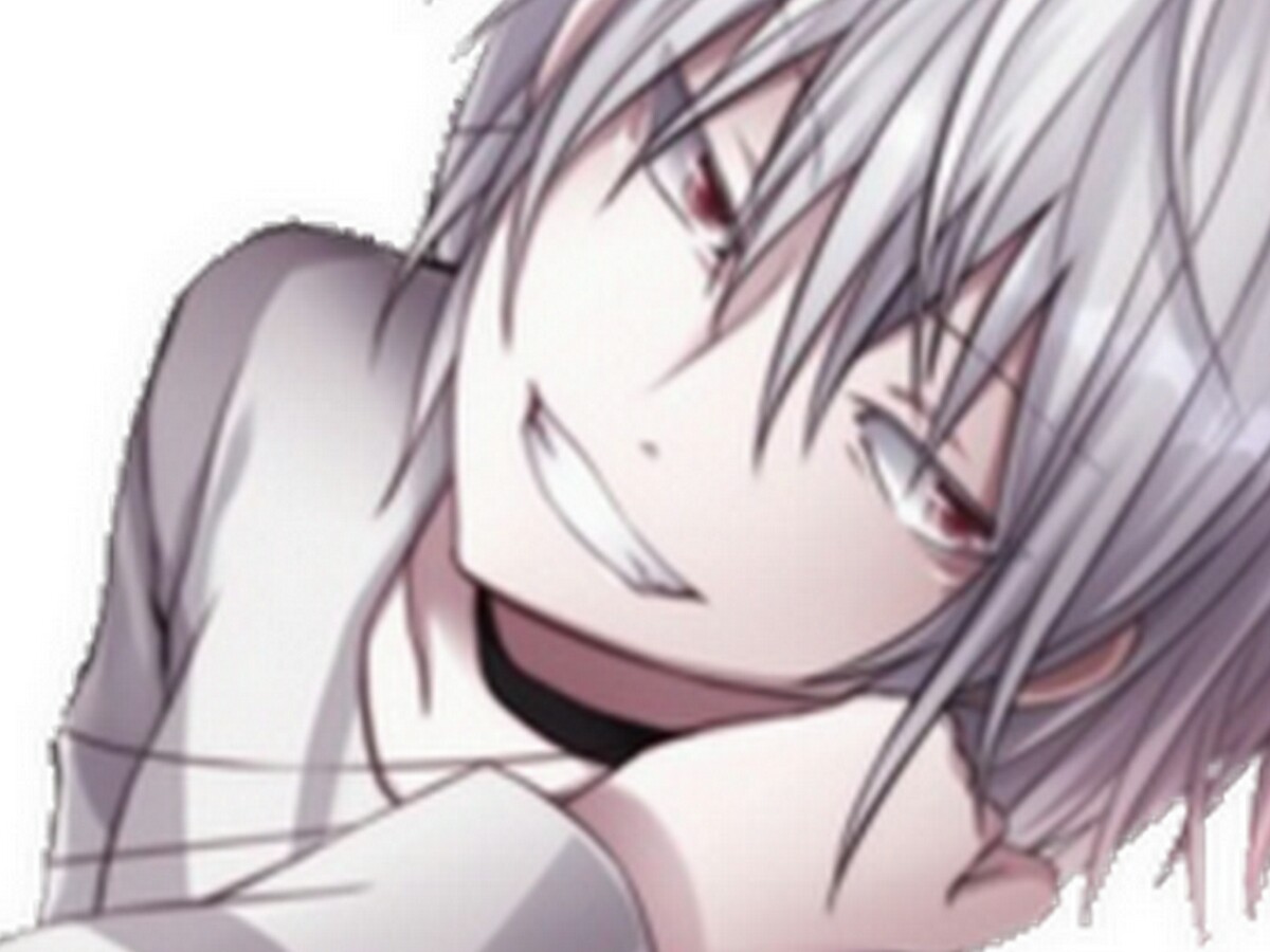 accperso apm kikoojap