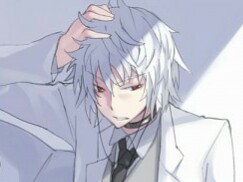 apm kikoojap accperso