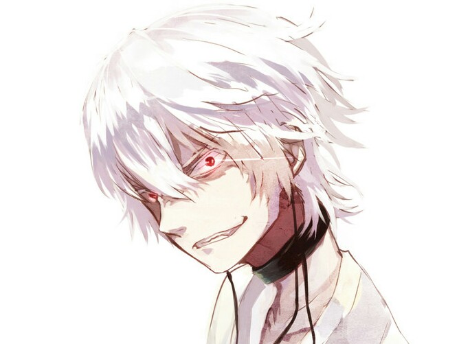 apm kikoojap accperso