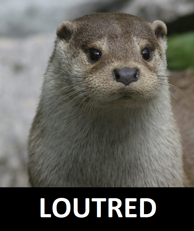 loutred doomguy suicide loutre