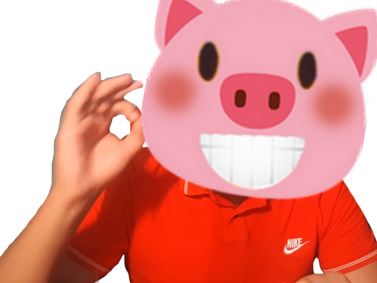 kairi cochon 410 pig