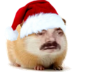 noel-blase-bonnet-rouge-christmas-risitas-hamster-animal-hiver-dinde-xmas-fete-tinnova-serieux-cochon-pompon