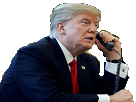 donald-politic-telephone-trump