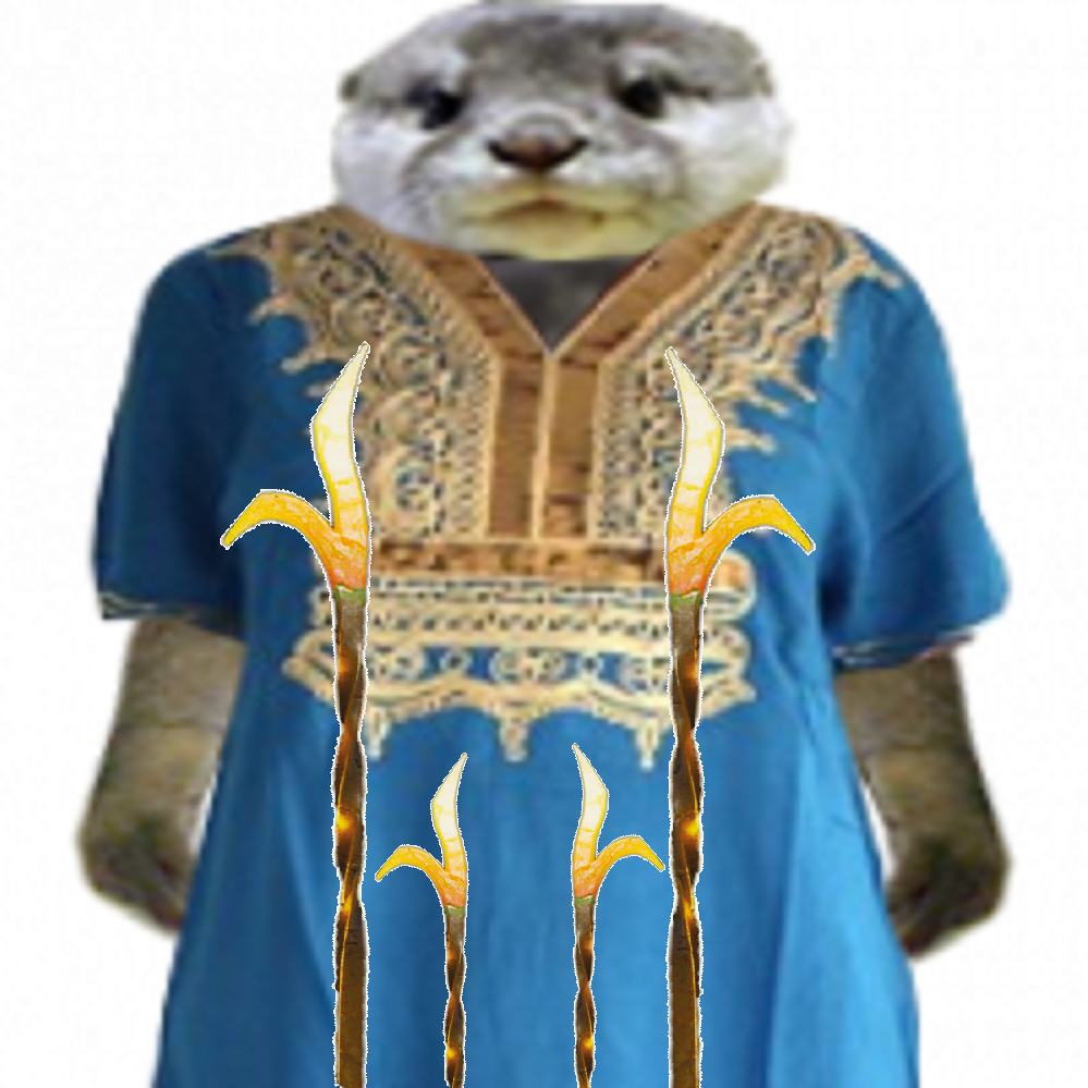 avenoel loutre risitas loutred islamiste tison