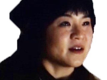 tico star chinoise wars chinois rose