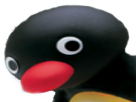 fixe-pingus-yeux-other-pingu-pingouin