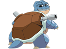 eau-4chan-other-inshape-tortue-pokemon-frog-tibo-tortank-pepe